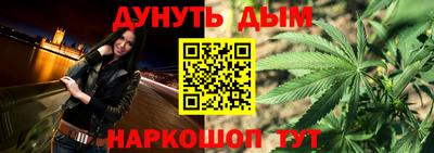 сатива Лесосибирск
