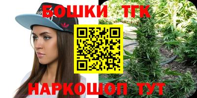 сатива Лесосибирск