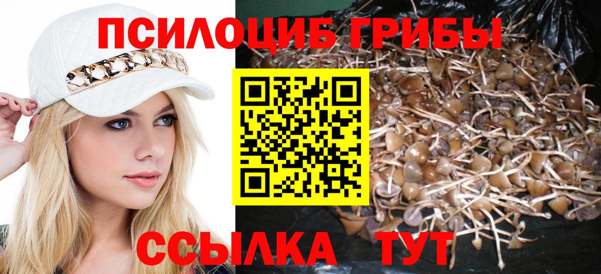 Псилоцибиновые грибы прущие грибы  Вход с VPN  Гурьевск 